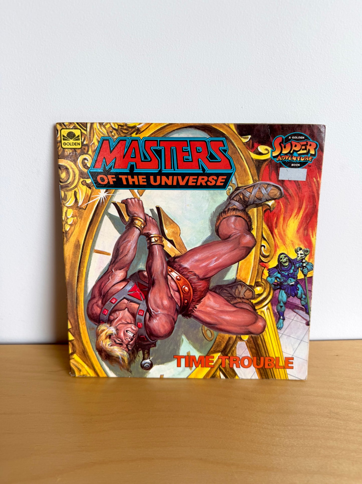 Masters Of The Universe Book / 6-9 years