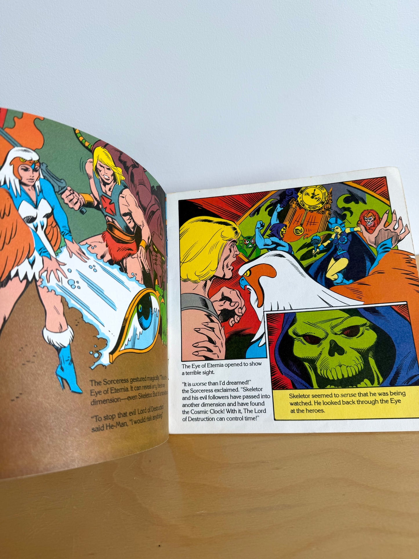 Masters Of The Universe Book / 6-9 years