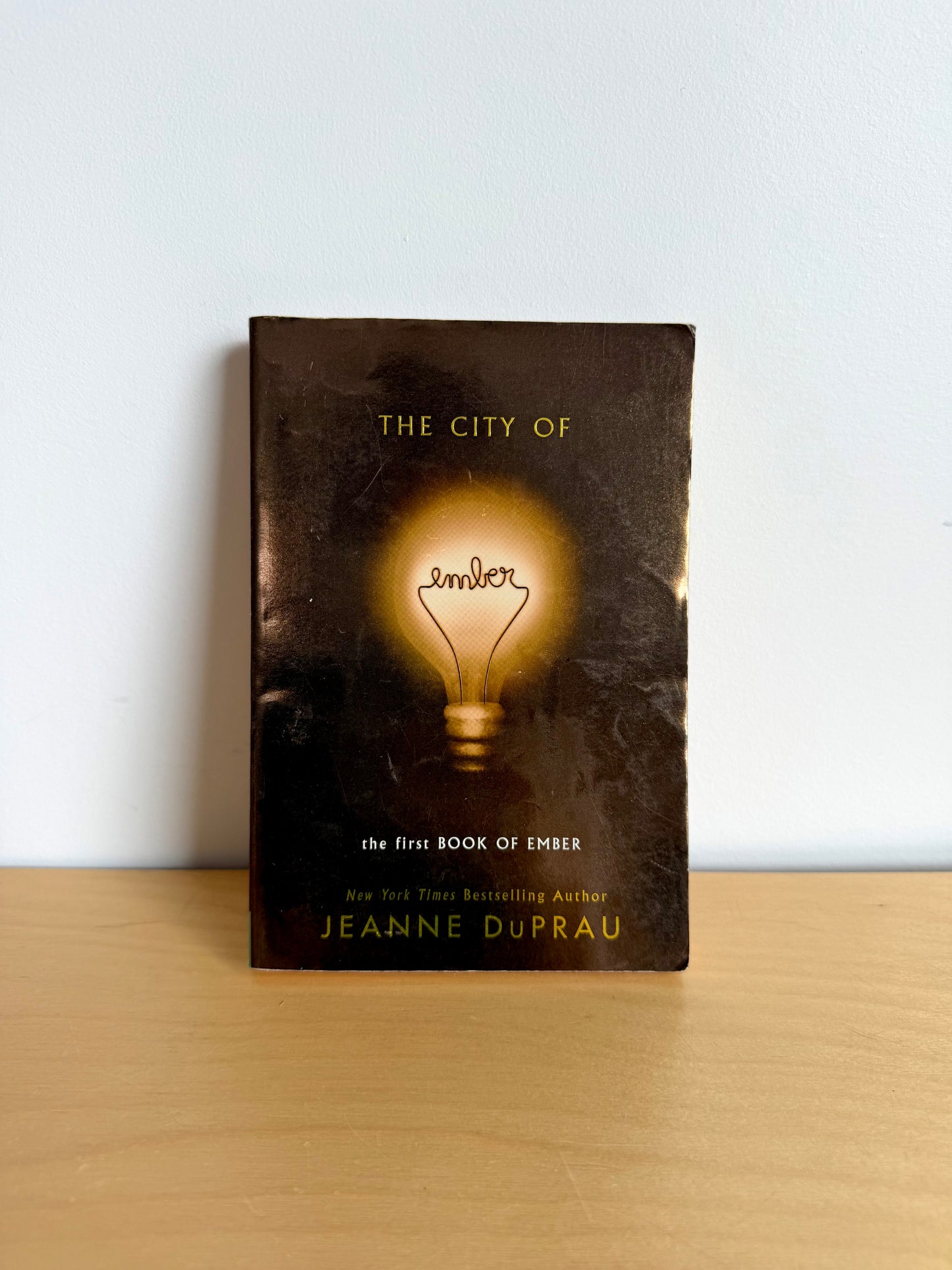 The City of Ember Softcover Novel / 9-12 years