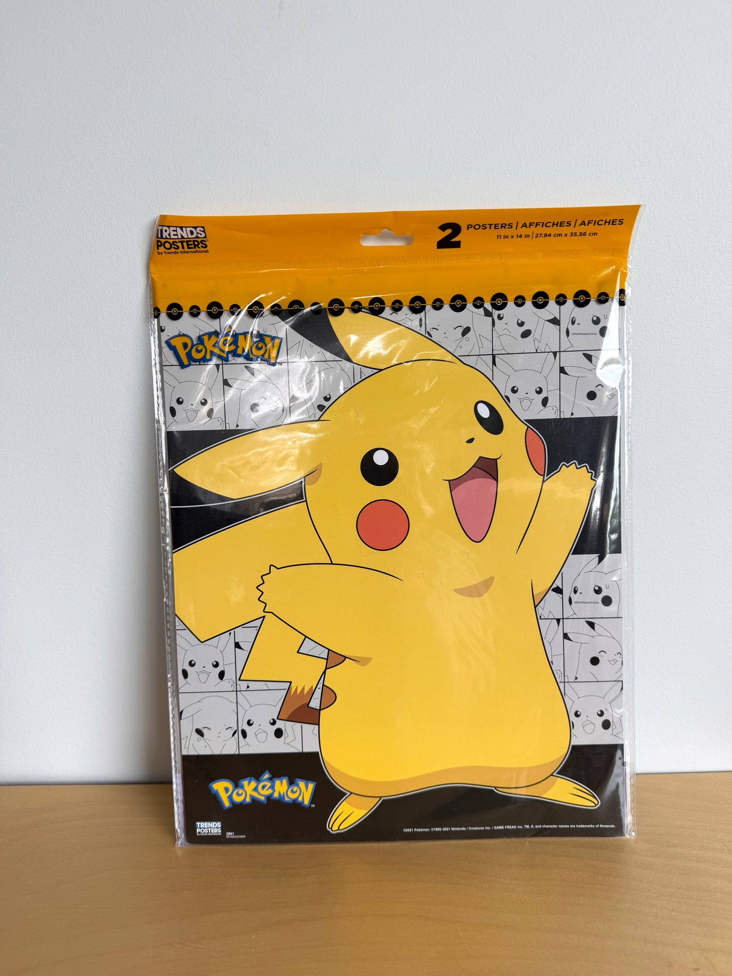 Pokémon Poster Set of Two (No Shipping)