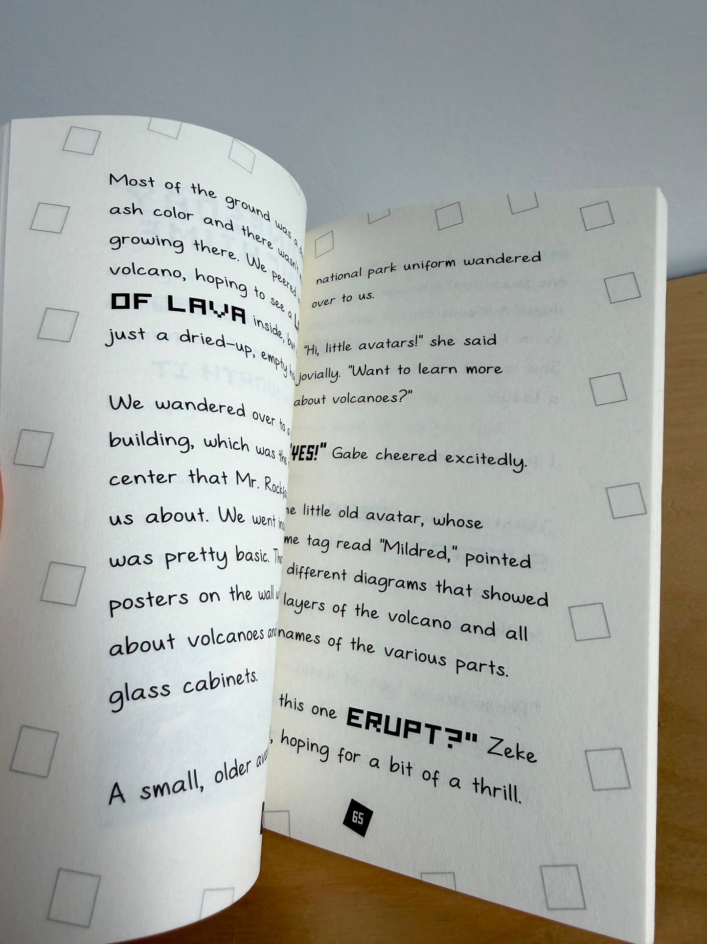 Diary of a Roblox Softcover Novel / 7-10 years