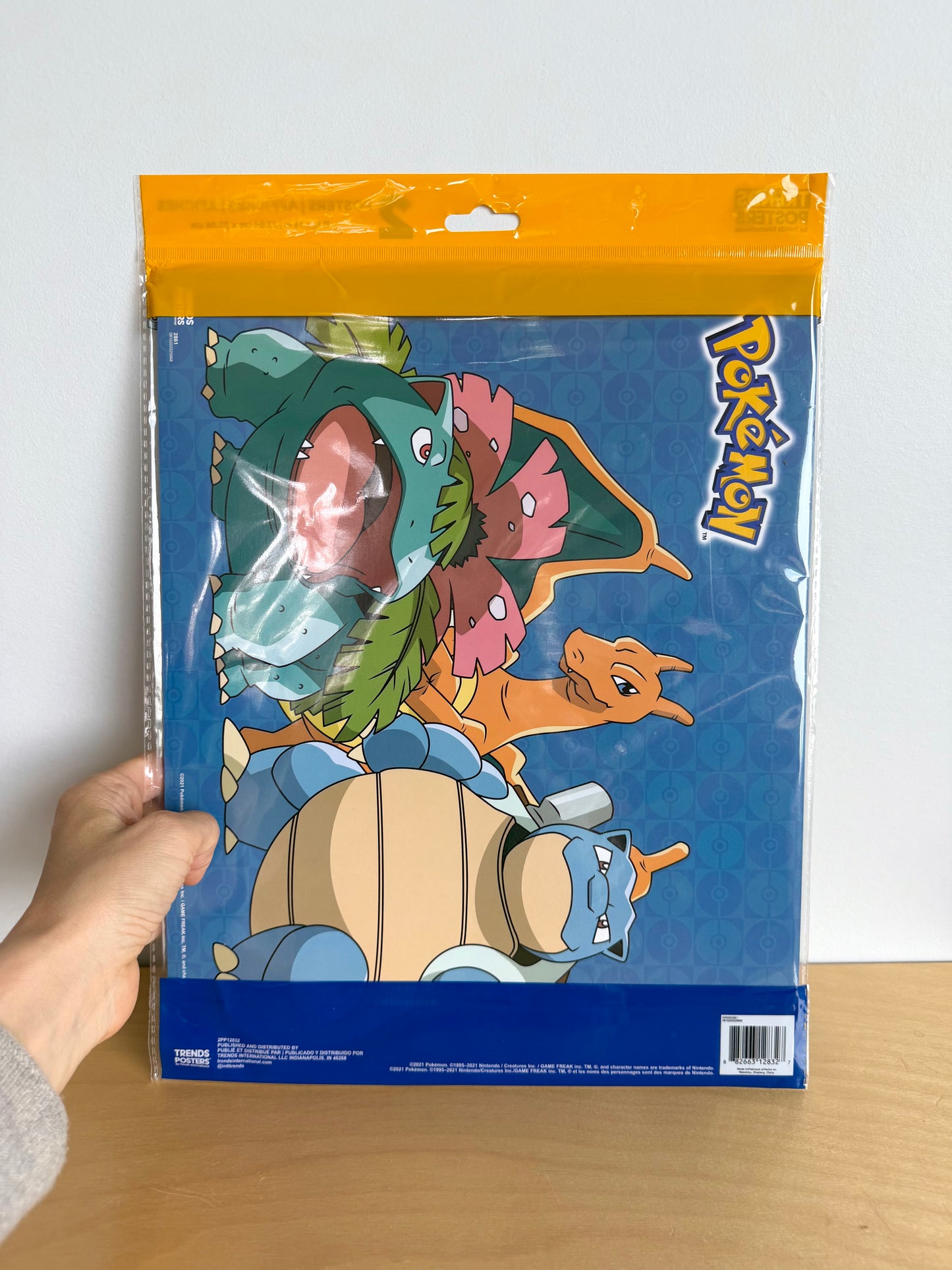 Pokémon Poster Set of Two (No Shipping)