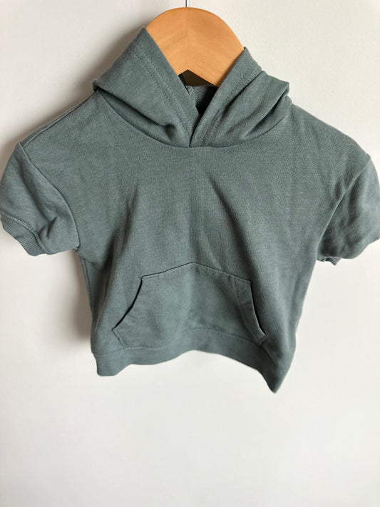 Sage Dino Hooded T-shirt / 12m