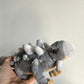 Grey Plush Dinosaur
