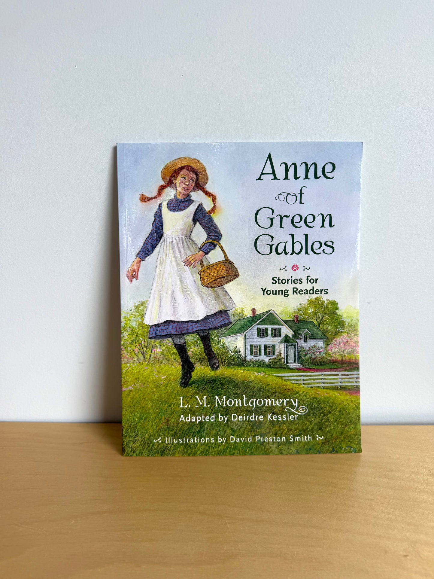 Anne of Green Gables Softcover Book / 6-12 years