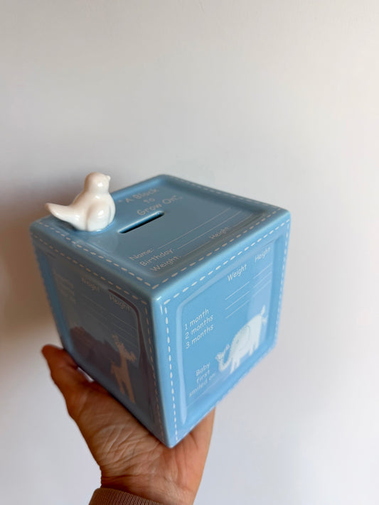 Milestone Piggy Bank (No Shipping)