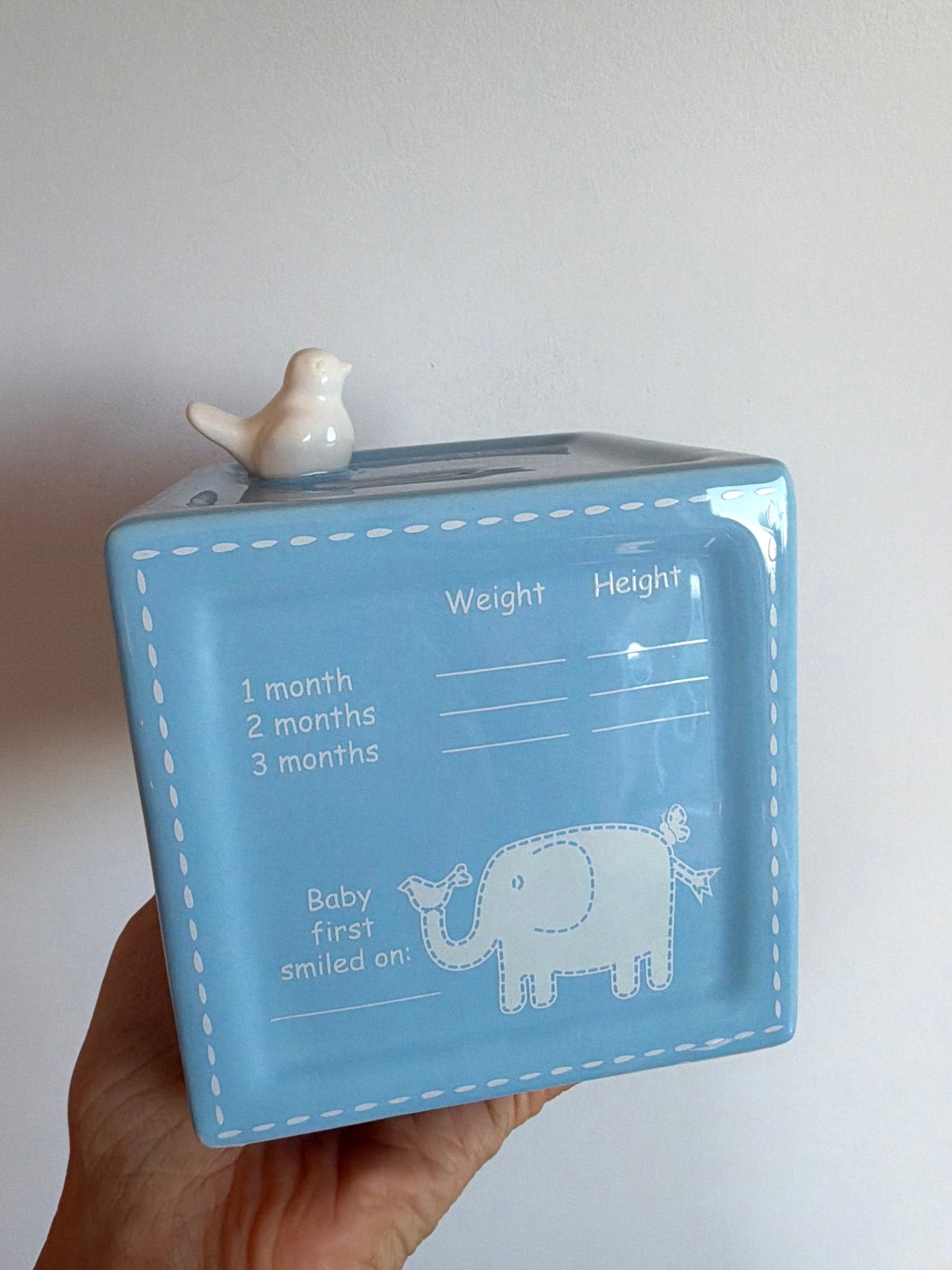 Milestone Piggy Bank (No Shipping)