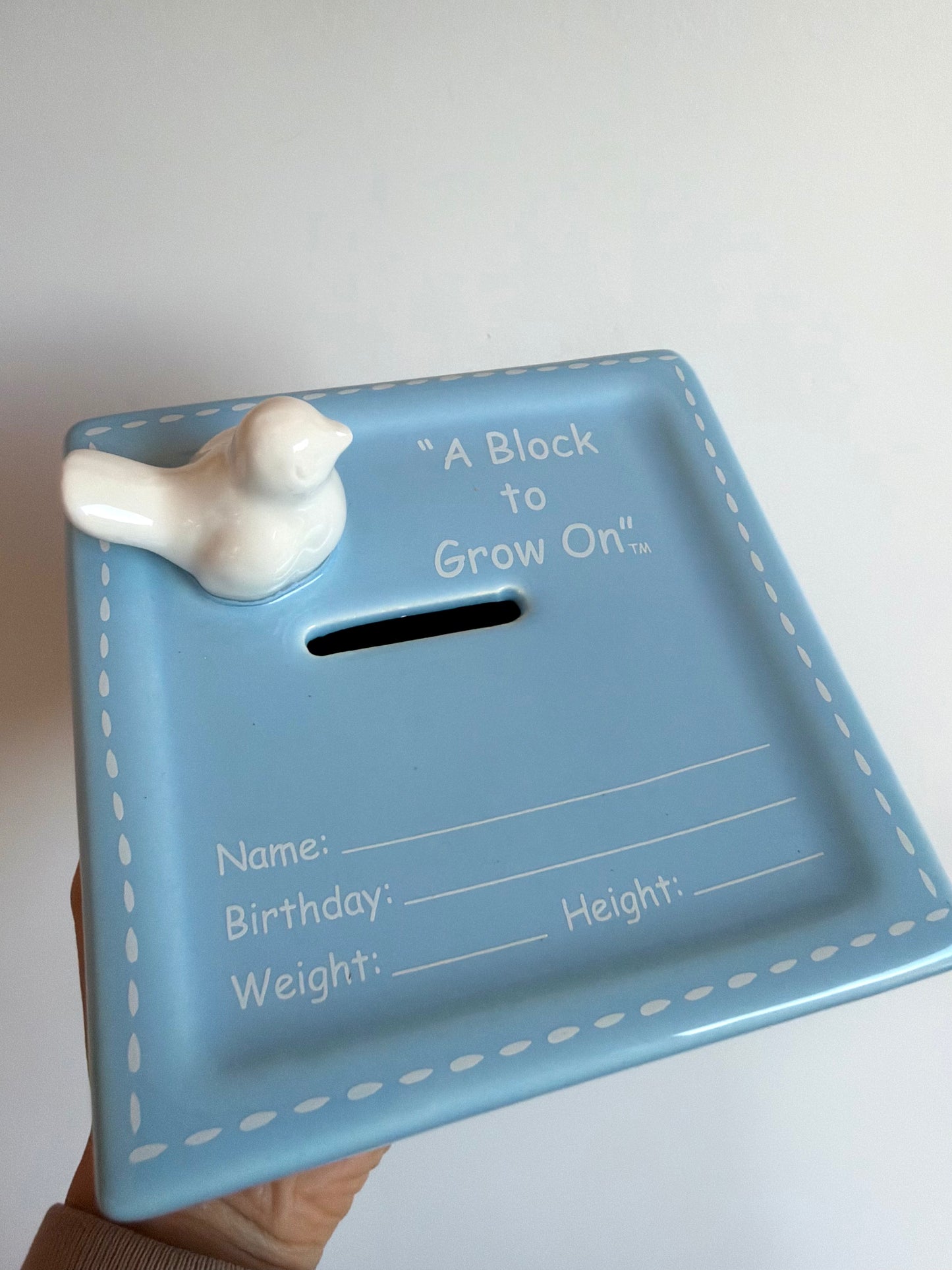 Milestone Piggy Bank (No Shipping)