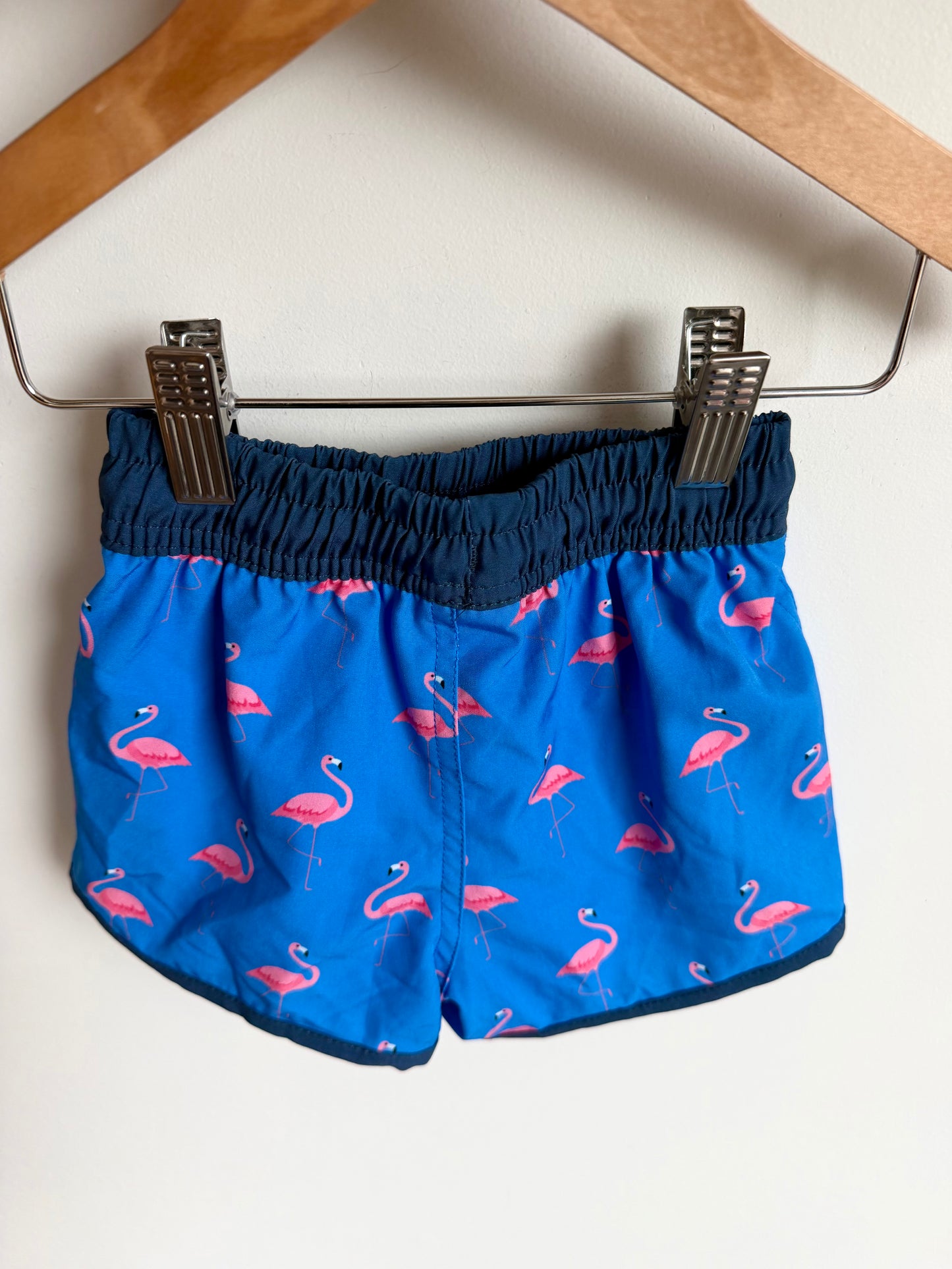 Blueberry Bay Flamingo Swim Shorts / 12m