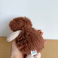 Jellycat Hedgehog Stuffy Toy
