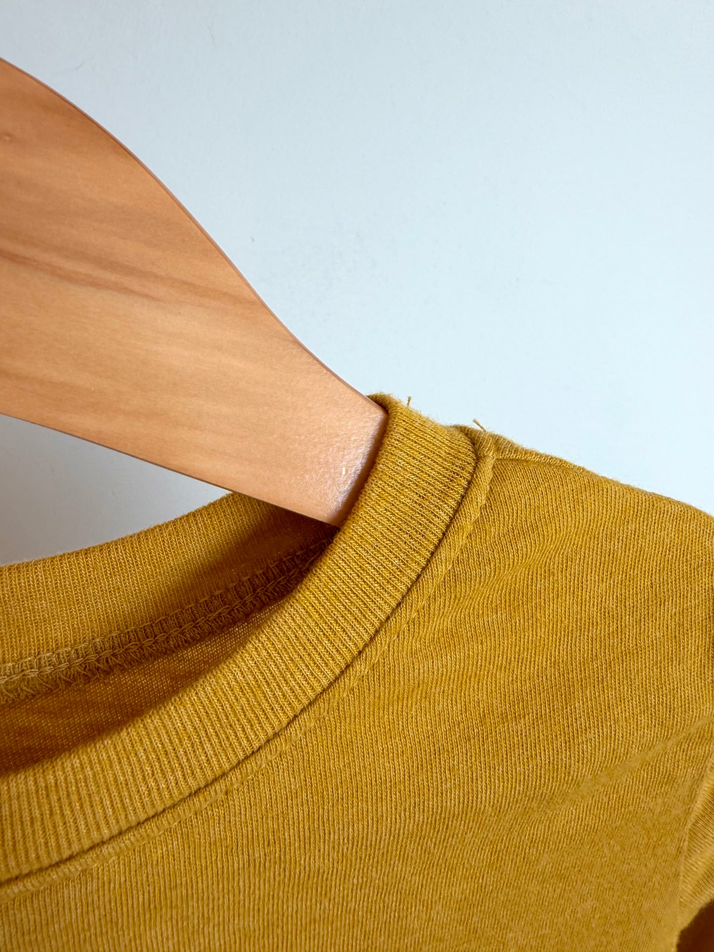 Mustard Long Sleeve Top / 2T