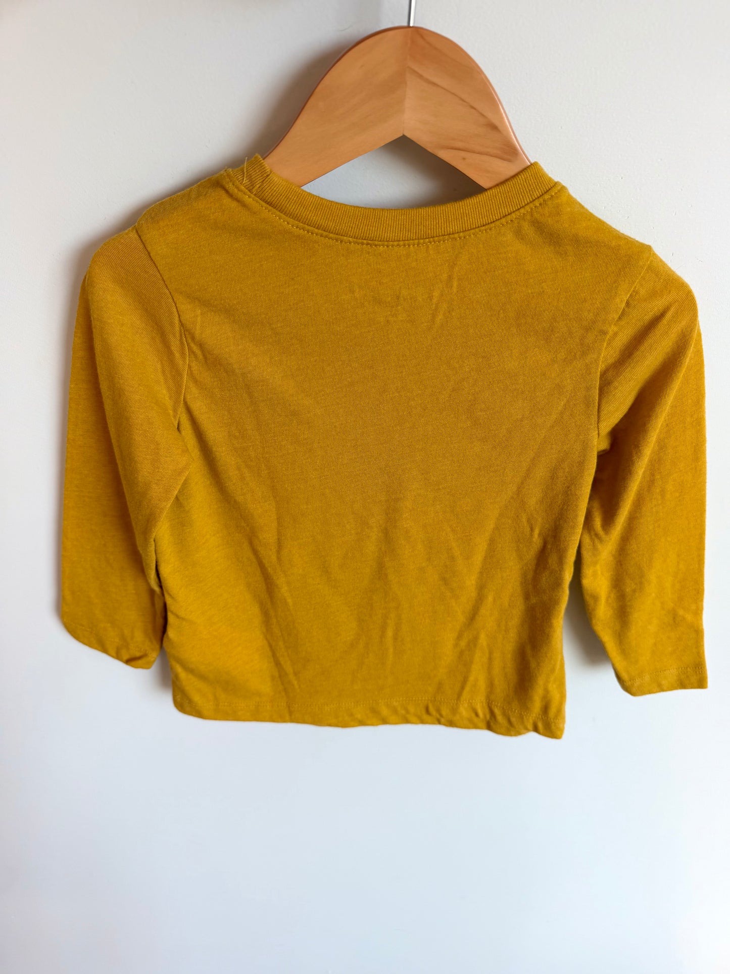 Mustard Long Sleeve Top / 2T