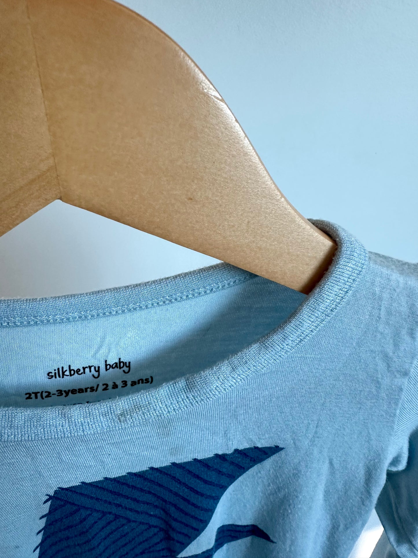 Blue Bamboo Lightening Top (PLAY) / 12-18m
