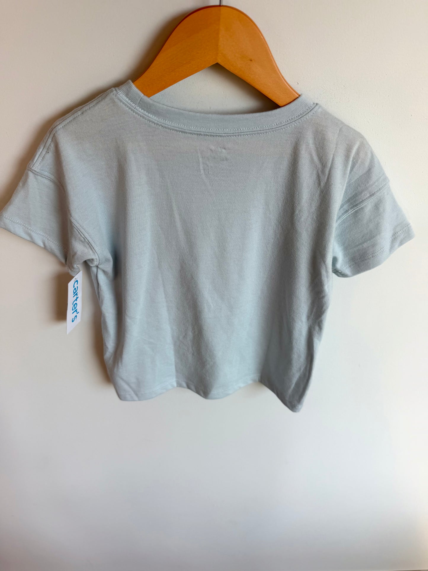 Summer Fun Fish Top (With tags) / 4T
