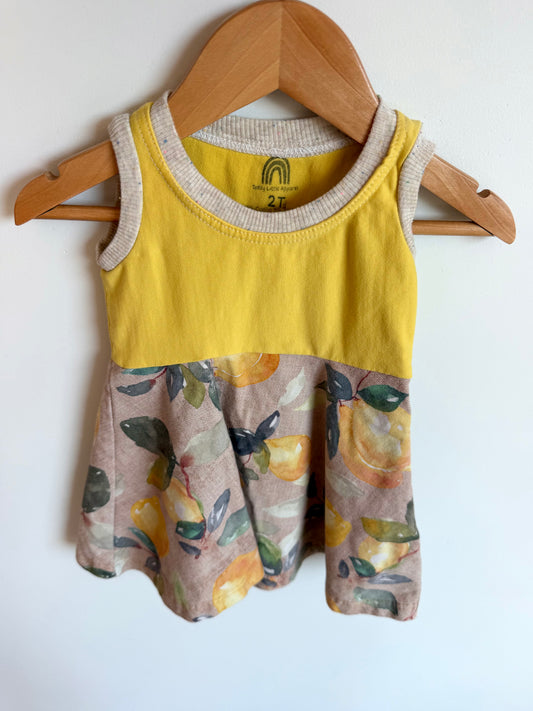 Teddy Little Lemon Dress / 24m