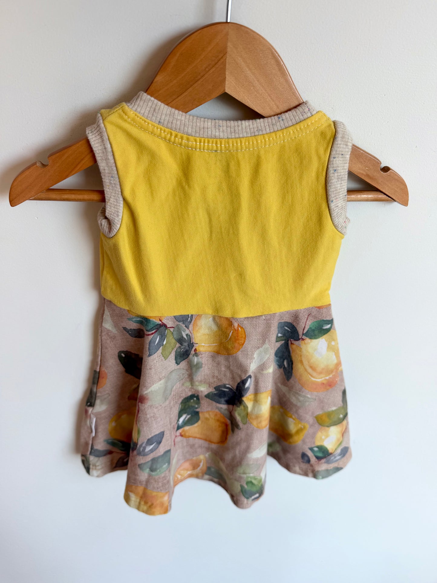 Teddy Little Lemon Dress / 24m