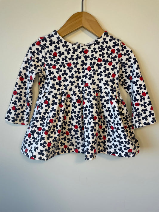 Ladybug + Clover Dress / 3-6m