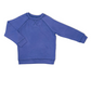 Blueberry Bamboo Fleece Sweatshirt (New Retail Item) / 5 years